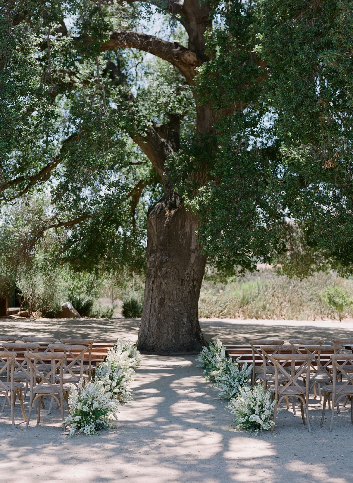 Ceremony beneath an ancient oak with white florals lining the aisle